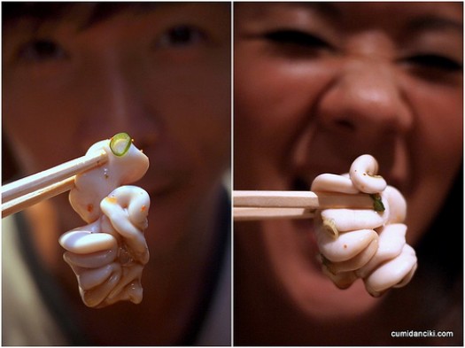 Gastronom&iacute;a ins&oacute;lita: Jap&oacute;n