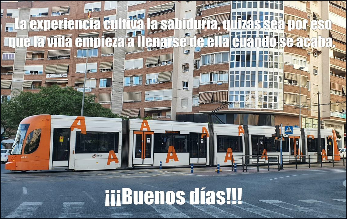 La experiencia y la sabidur&iacute;a