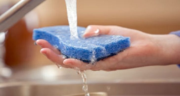 Las esponjas para lavar platos son las mayores fuentes de bacterias. Aqu&iacute; c&oacute;mo desinfectarlas 