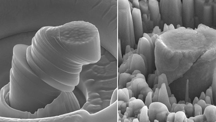  Fuerte y ligero: Investigadores crean un nuevo y revolucionario metal: