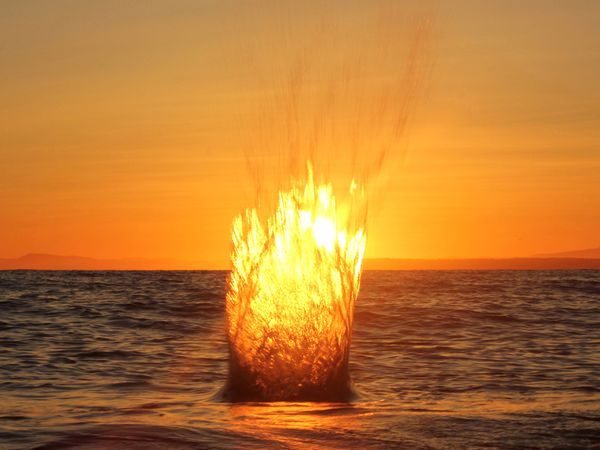 SUNSET SPLASH