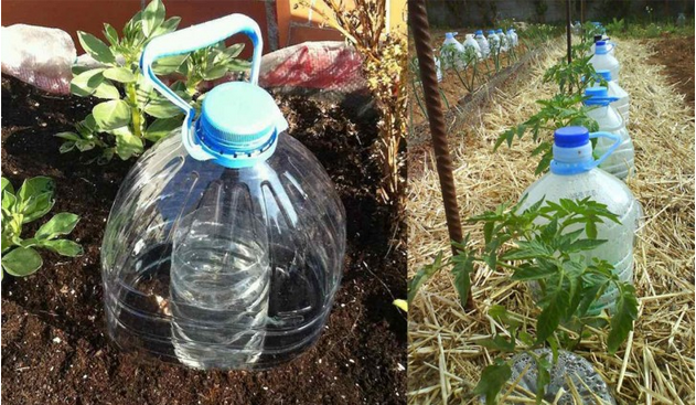 Goteo solar: &uacute;salo para regar tus plantas
