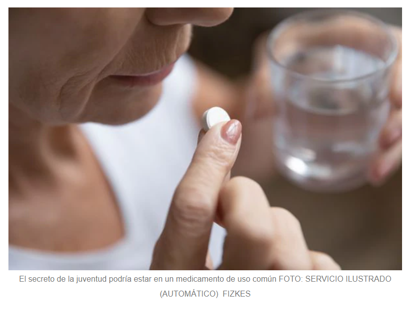  Rilmenidina: El secreto de la juventud podr&iacute;a estar en un medicamento de uso com&uacute;n