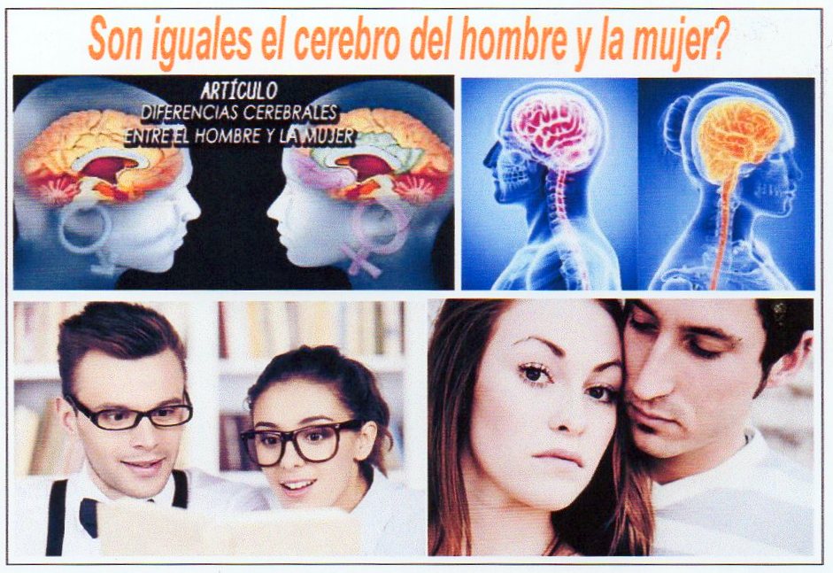  No m&aacute;s mitos, los cerebros del hombre y la mujer son iguales 