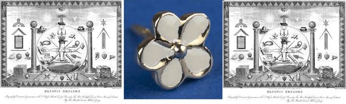 NO ME OLVIDES - BLUE FORGET ME NOT
