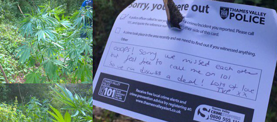 Police in Britain found a field of marijuana plants and left the owner a polite note