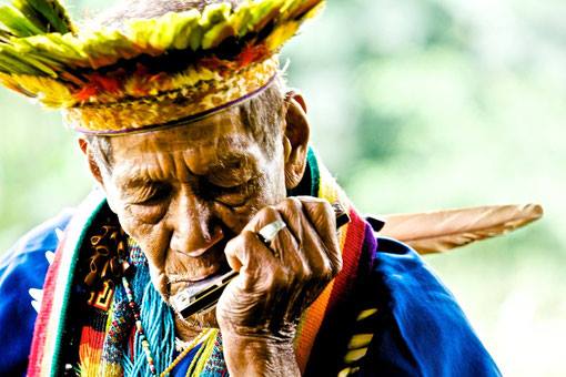  EL YAG&Eacute; LA PLANTA SAGRADA DE LA AMAZON&Iacute;A