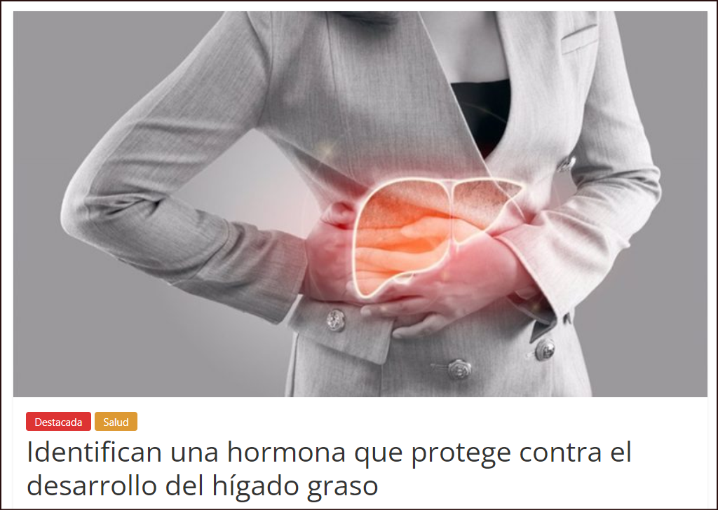  H&iacute;gado graso: Identifican una hormona que protege contra el desarrollo del h&iacute;gado graso