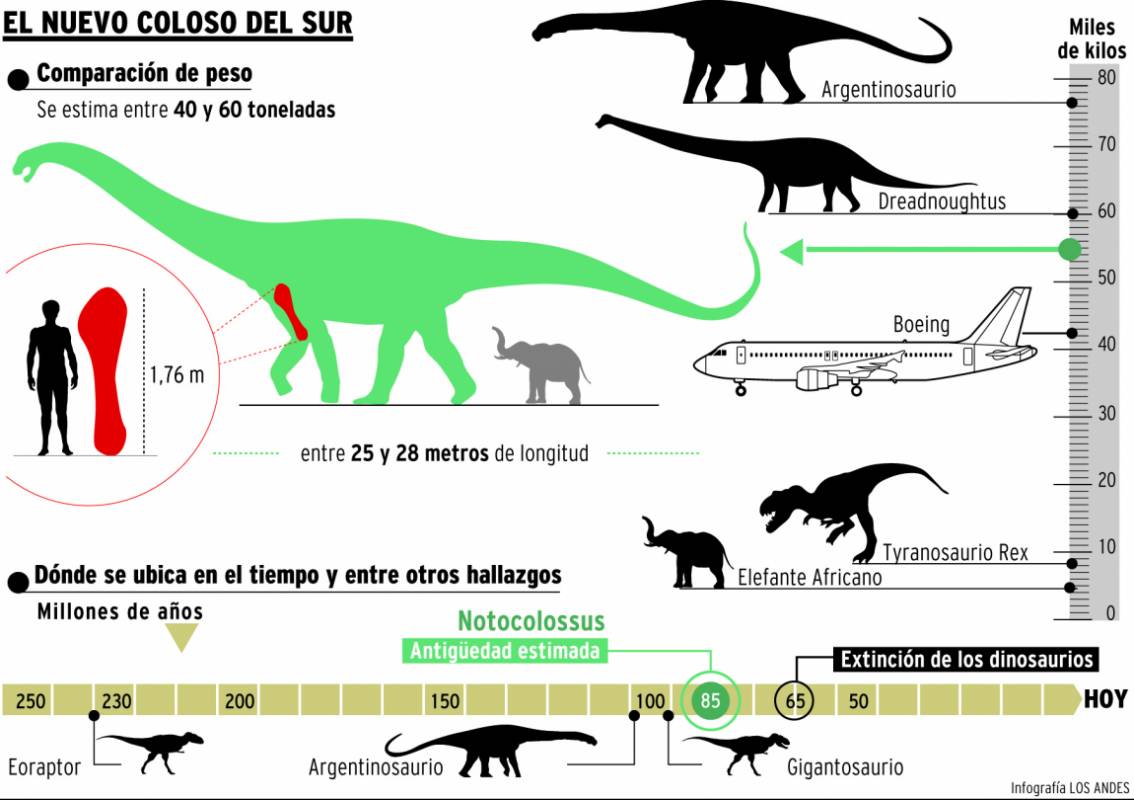Descubren a un misterioso `Gigante Ladr&oacute;n&acute; en Argentina