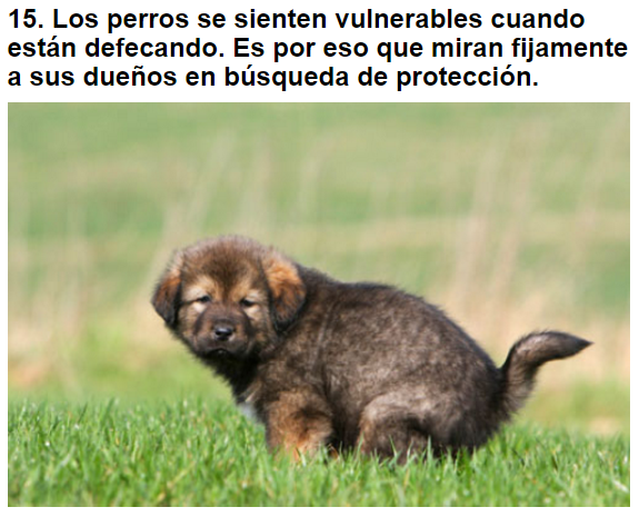 Mi vida como te va?
