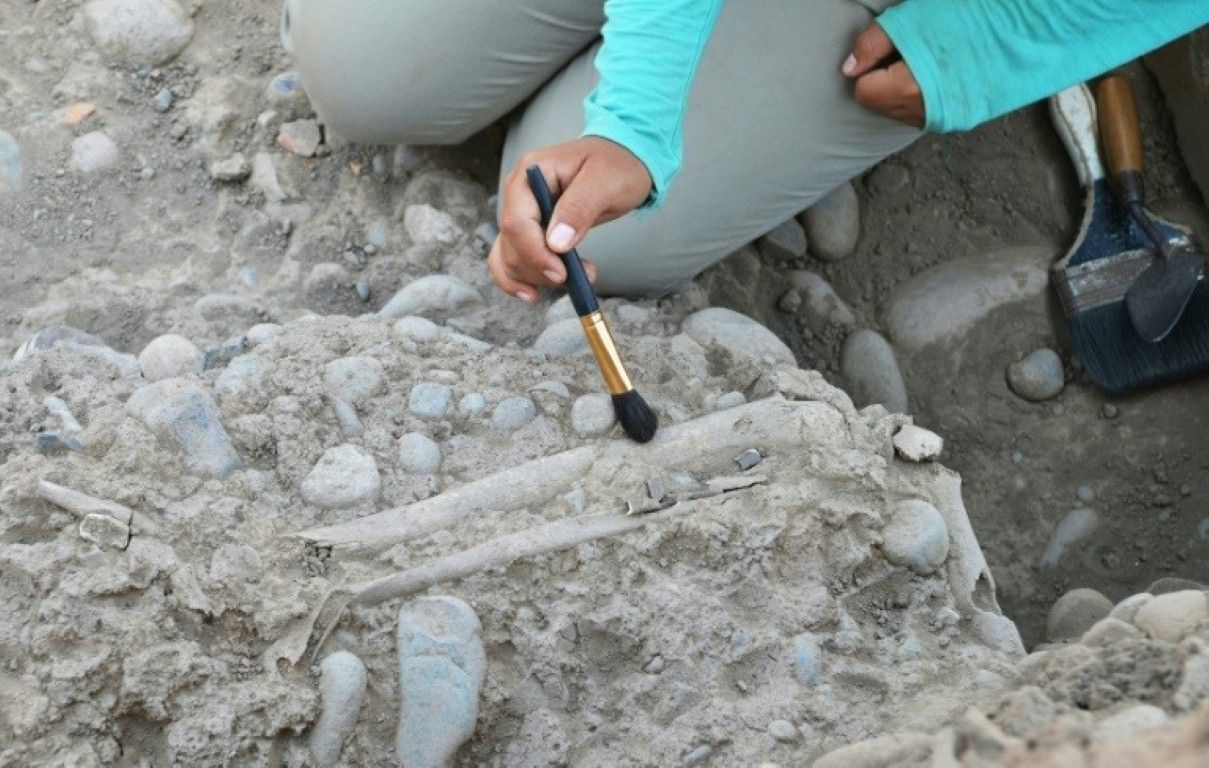 Encuentran en Per&uacute; restos del sacrificio de ni&ntilde;os m&aacute;s grande de la historia