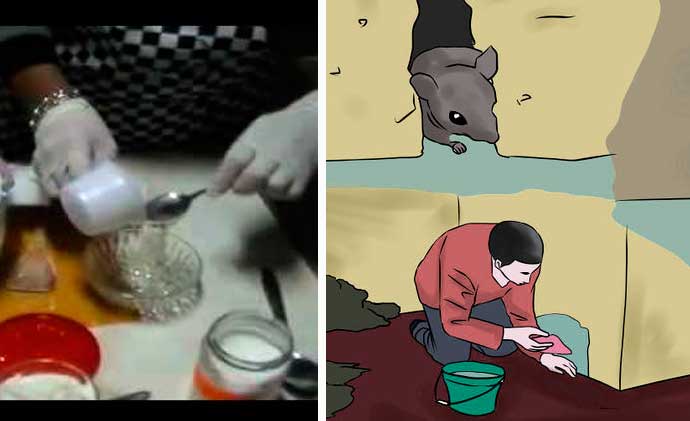 Trucos caseros para eliminar por siempre los ratones de tu hogar