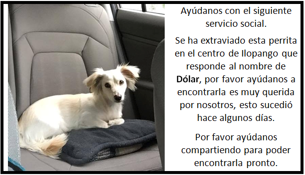 Por favor ayudame a encontrarla