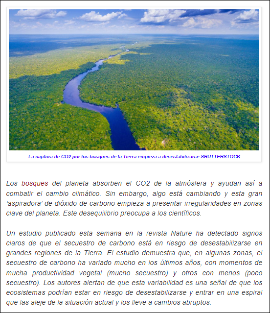  Alarma: Los bosques dejan de capturar parte del CO2 desestabilizando la vida en el Planeta