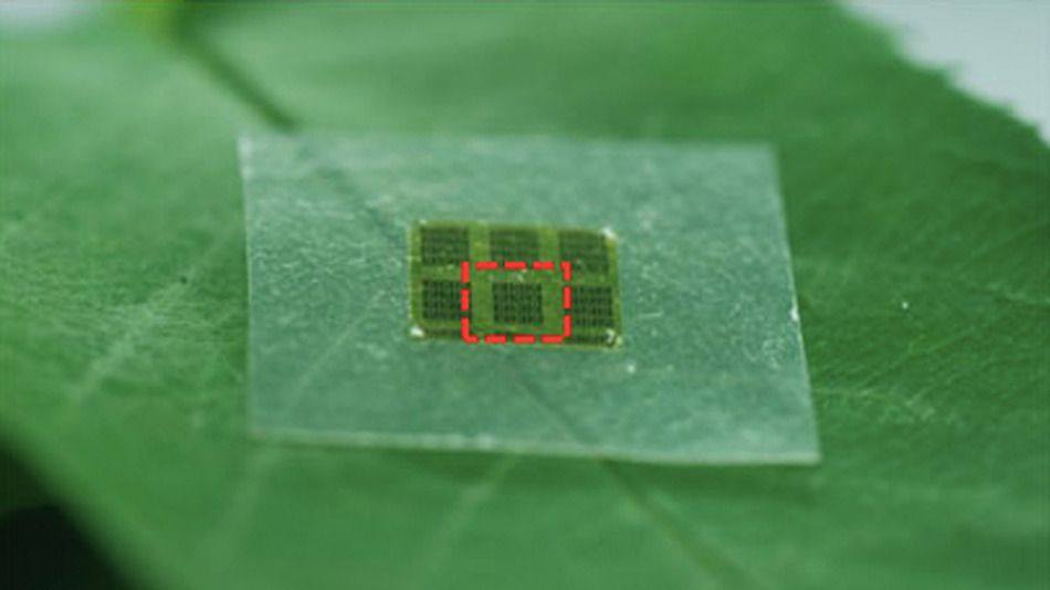 Computer chip made of wood works as well as the one in your phone