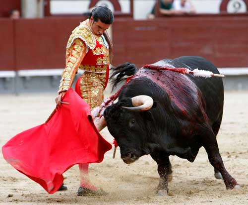 Facebook incluye las corridas de toros entre los motivos para denunciar una publicaci&oacute;n