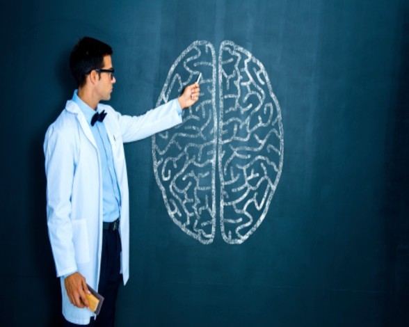 &iexcl;Recuperar los recuerdos perdidos es posible gracias a esta investigaci&oacute;n!