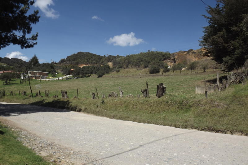 Alquilar lote mas apto para negocio de perros