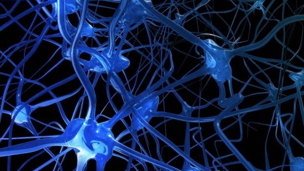 Si no comes, tus neuronas se comen a s&iacute; mismas