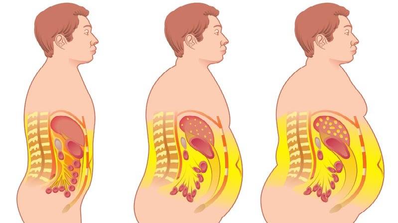 16 alimentos que queman grasa de forma natural