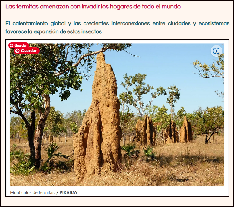  Los hogares de todo el mundo est&aacute;n amenazados por la invasi&oacute;n de las termitas
