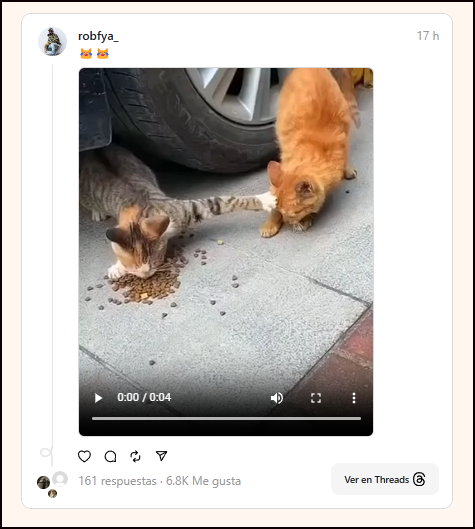 Animales con comportamientos humanos