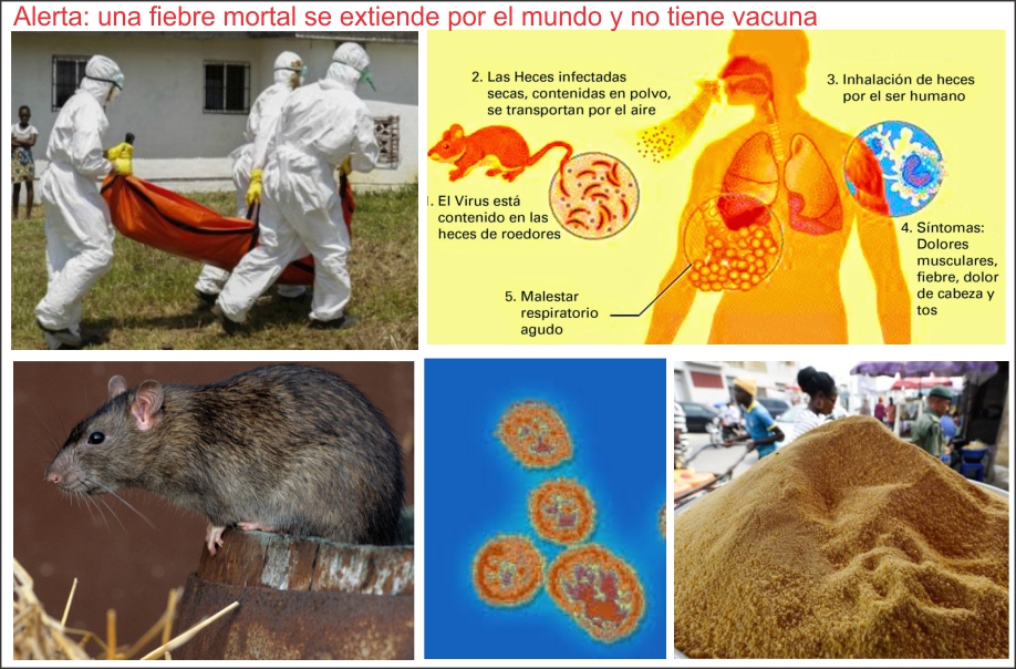 Enfermedad mortal se extiende r&aacute;pidamente por el mundo y no hay vacuna