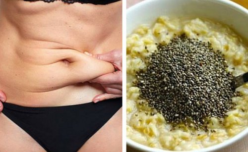 Desayuno de avena y semillas de ch&iacute;a para aplanar el vientre