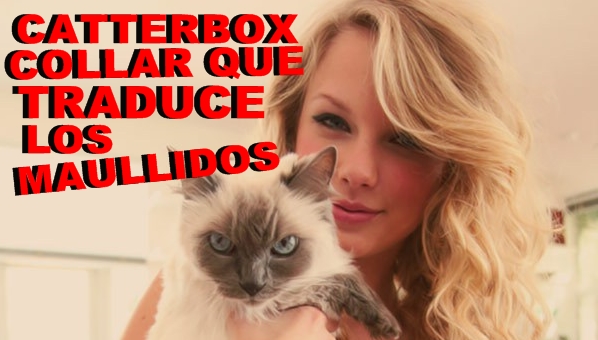 catterbox collar que traduce maullidos en palabras