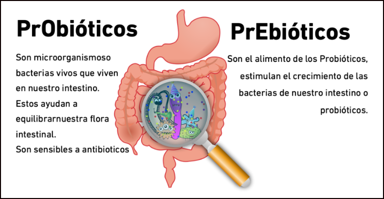  Prebi&oacute;ticos y Probi&oacute;ticos: No son lo mismo