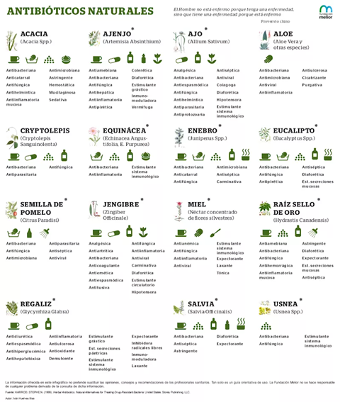 antibioticos naturales