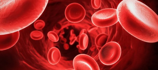 &iquest;Qu&eacute; es el hematocrito y cu&aacute;l es su funci&oacute;n?