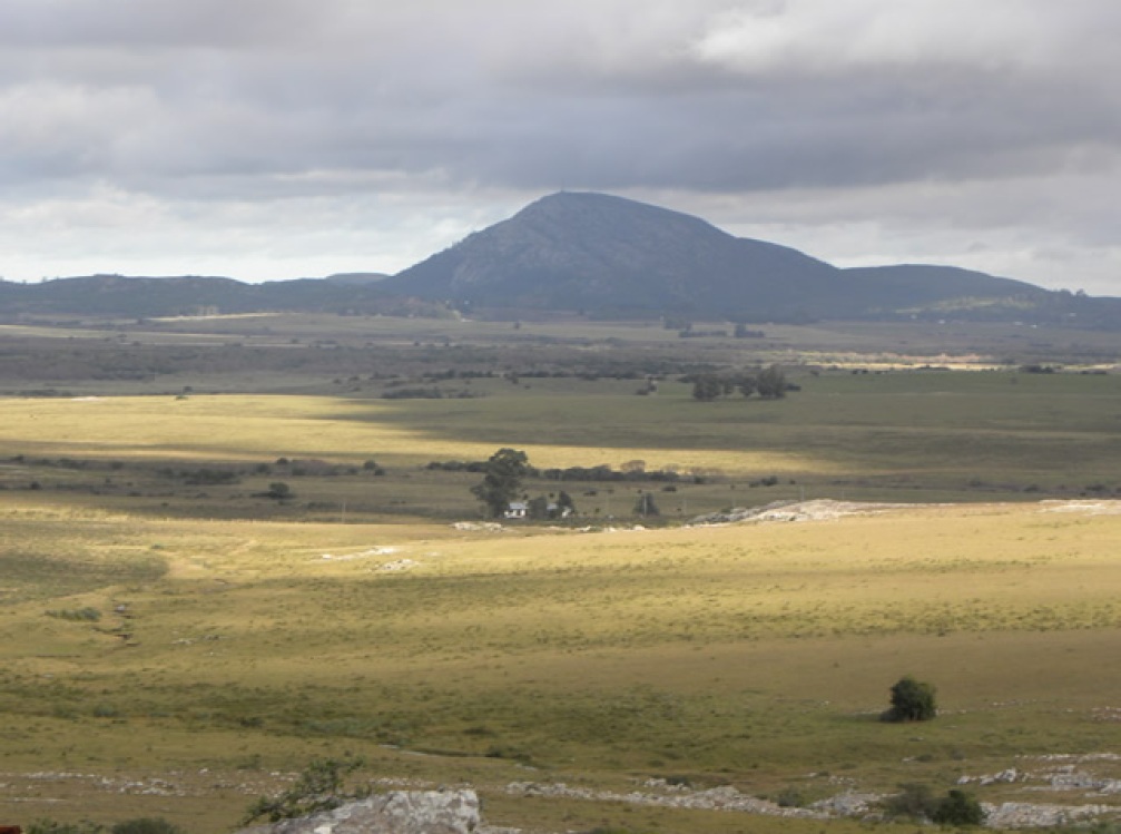 Maravilloso campo en Punta de Este, Uruguay.