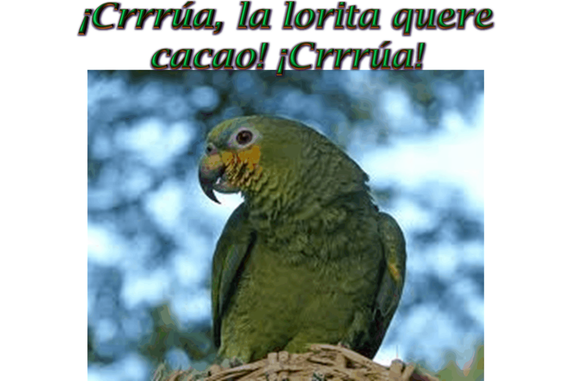 &iquest;D&oacute;nde TE enfocas?