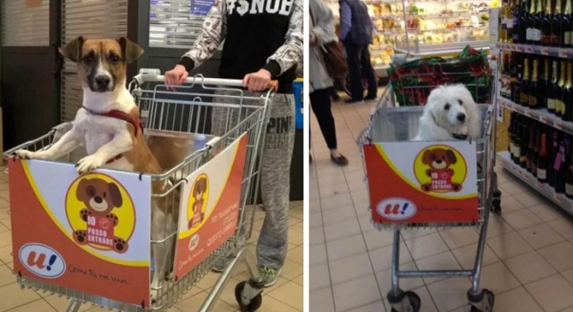 Un supermercado adapta sus carros para que los perros acompa&ntilde;en a sus due&ntilde;os a hacer la compra