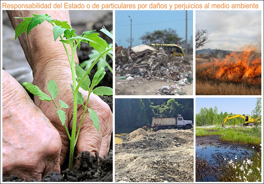  Lo que debe saber un abogado sobre la responsabilidad del Estado por da&ntilde;os ambientales