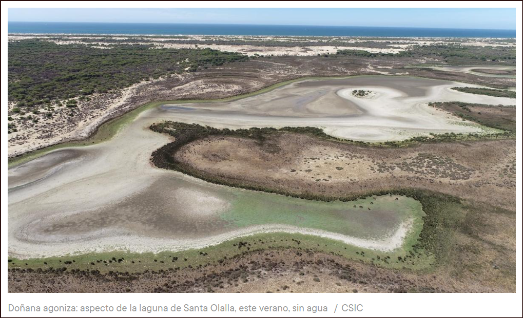  Do&ntilde;ana se muere de sed sin que nadie haga nada para impedirlo