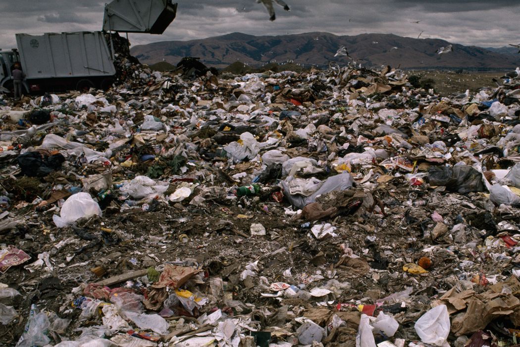 Newly discovered toxic pollutant found in homes, environment