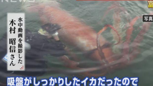  Hombre hall&oacute; un calamar gigante en puerto de Jap&oacute;n [VIDEO]: