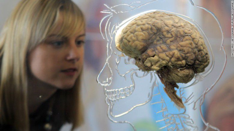 Seis formas para hacerte m&aacute;s inteligente