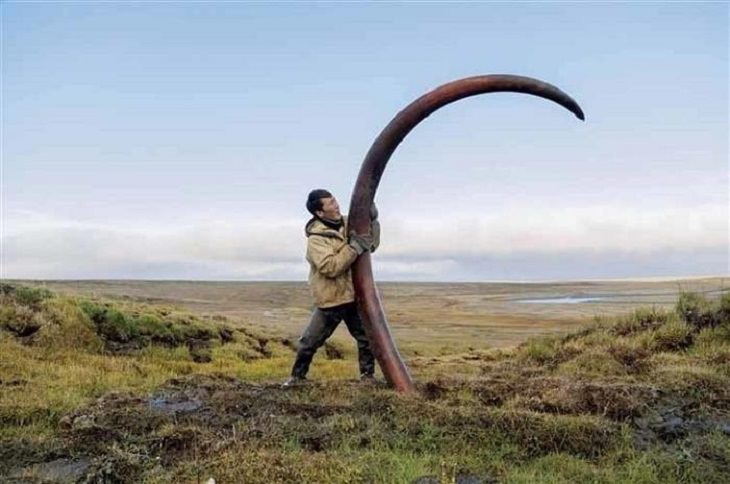 EXTINCIONES TARD&Iacute;AS