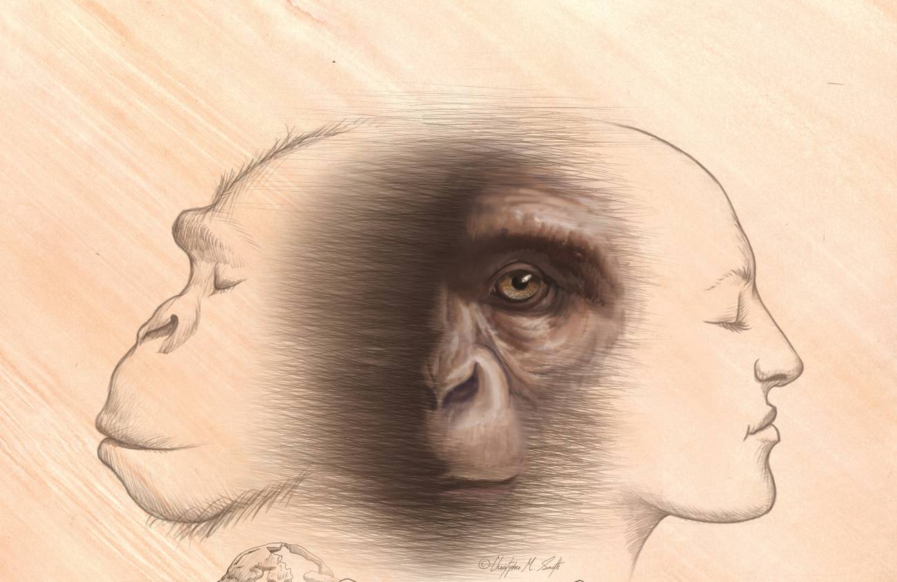 EL PLANETA DE UNOS SIMIOS LOCOS