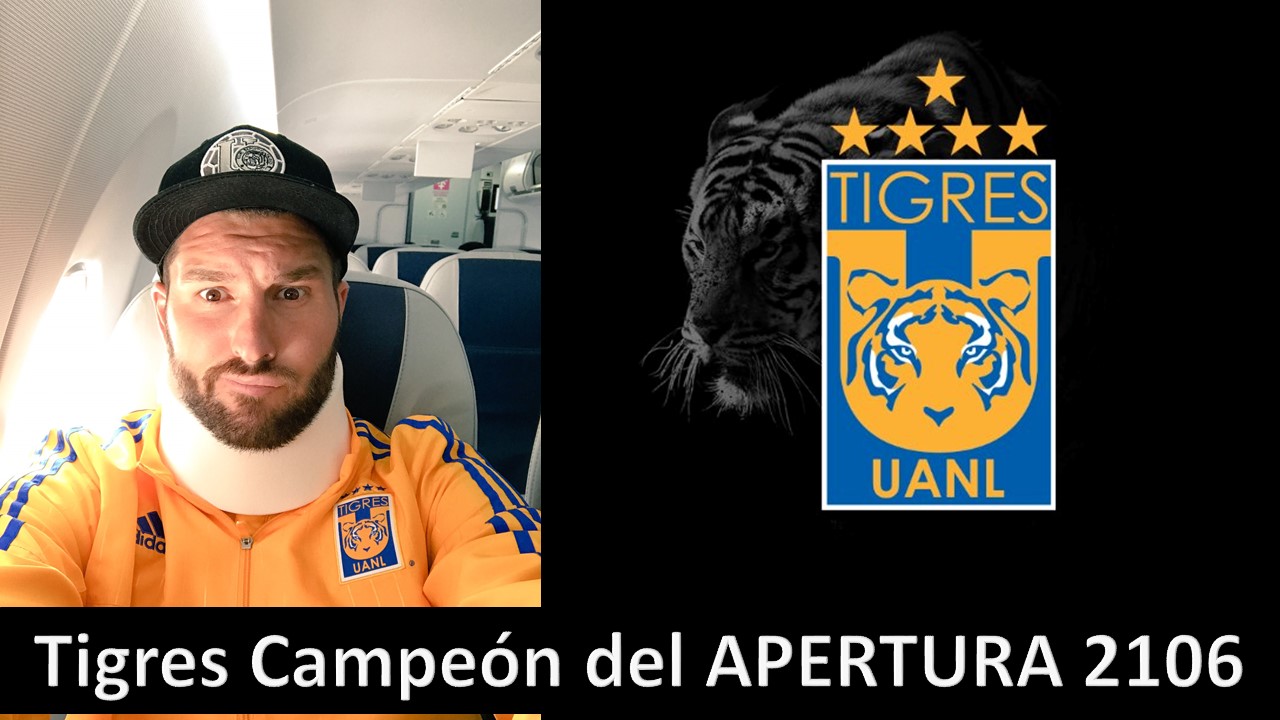 Tigres gana su tquinto titulo y Gignac jugo cual lesi&oacute;n.