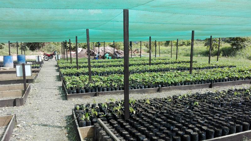 AMPLIACION DE VIVERO MUNICIPAL INICIO DE OBRA